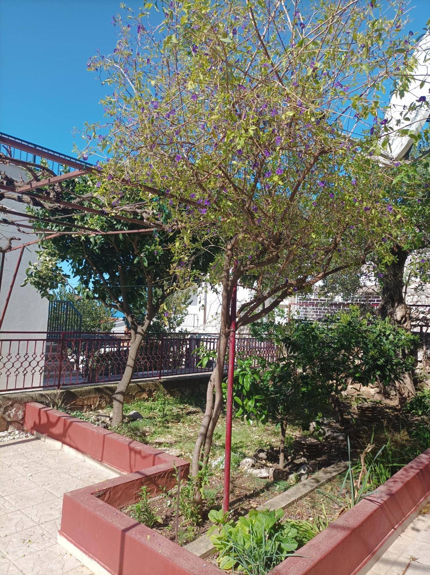 Apartament Dva Lava *